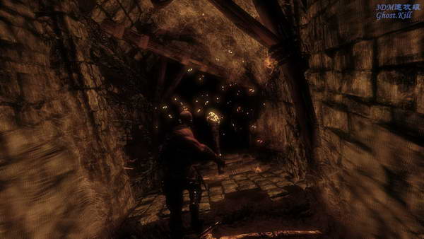 《猎杀：恶魔熔炉》图文攻略|Hunted: The Demons Forge